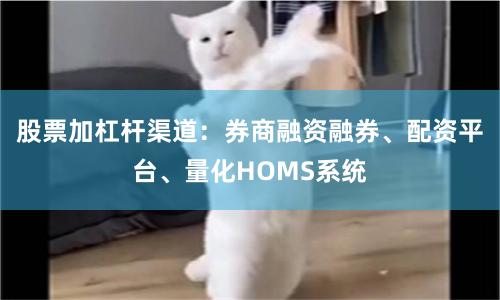 股票加杠杆渠道：券商融资融券、配资平台、量化HOMS系统