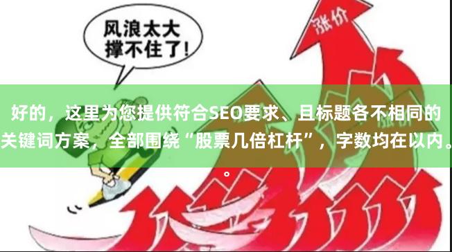 好的，这里为您提供符合SEO要求、且标题各不相同的关键词方案，全部围绕“股票几倍杠杆”，字数均在以内。
